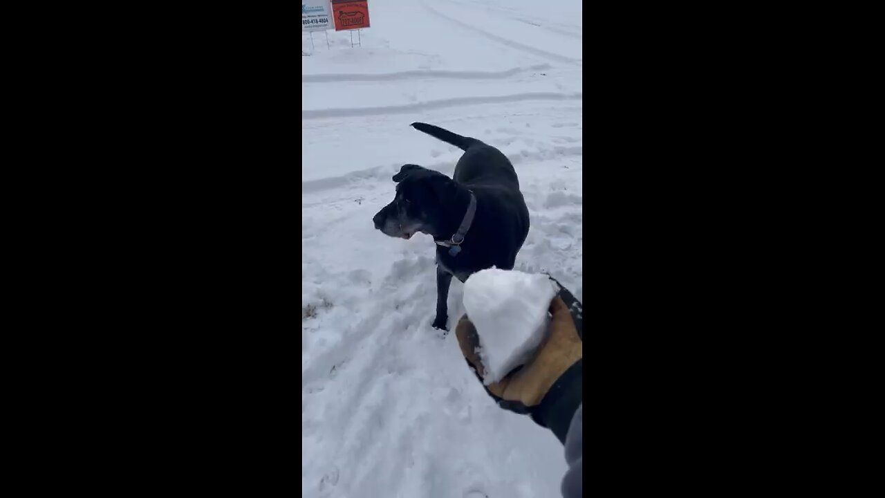 Gambit loves the snow!!