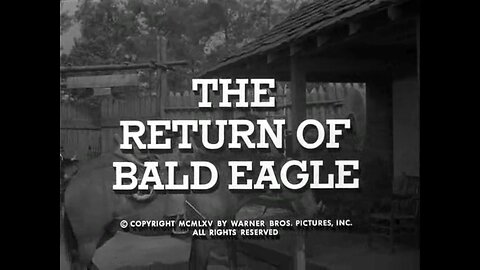 The Return of Bald Eagle