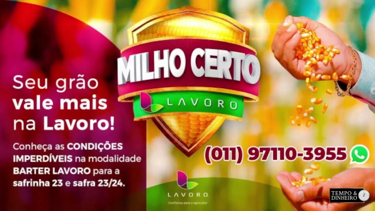 Lavoro tem operação de Barter para milho com negociação em todo o Brasil