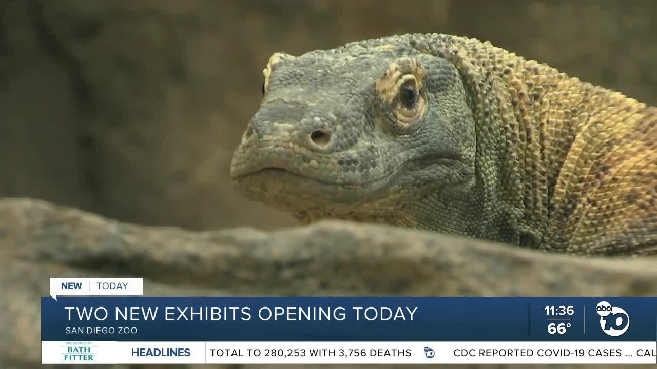 Two new exhibits open at San Diego Zoo