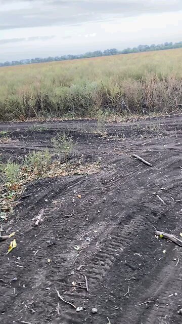 Sukhoi Su-25 attack aircraft of the Russian Aerospace Forces operate against Ukrainian military...