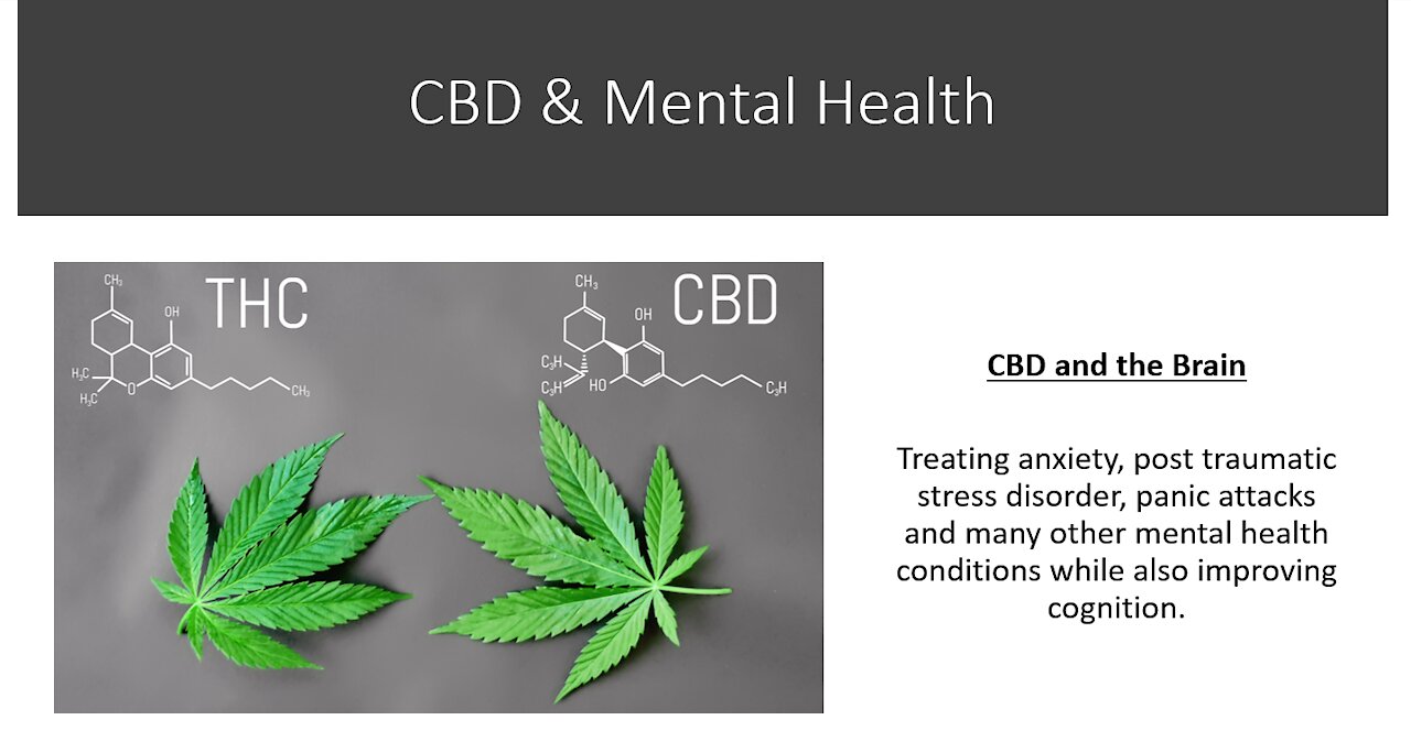 cbd and blood flow in the brain