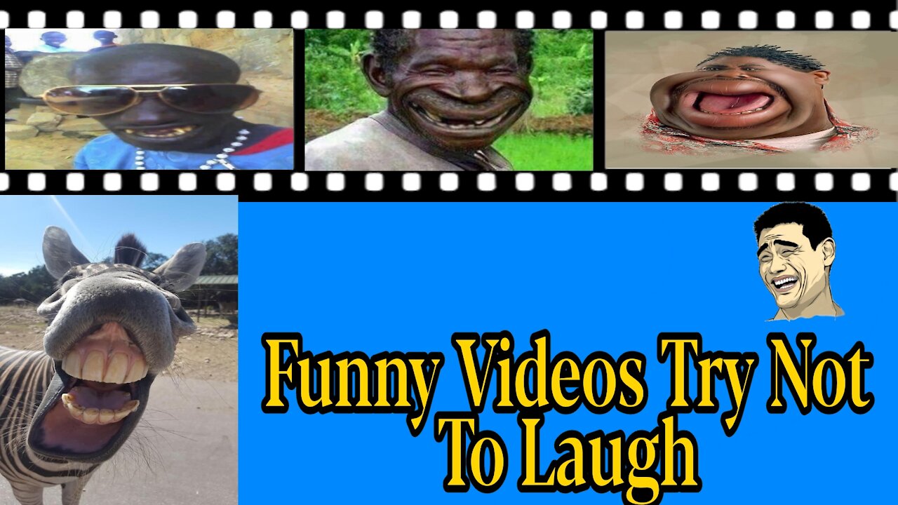 😂Funny Videos Try Not To Laugh😂