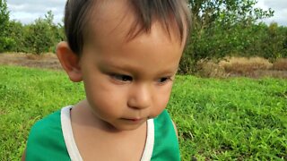 Bryce Picking Flowers at the Farm