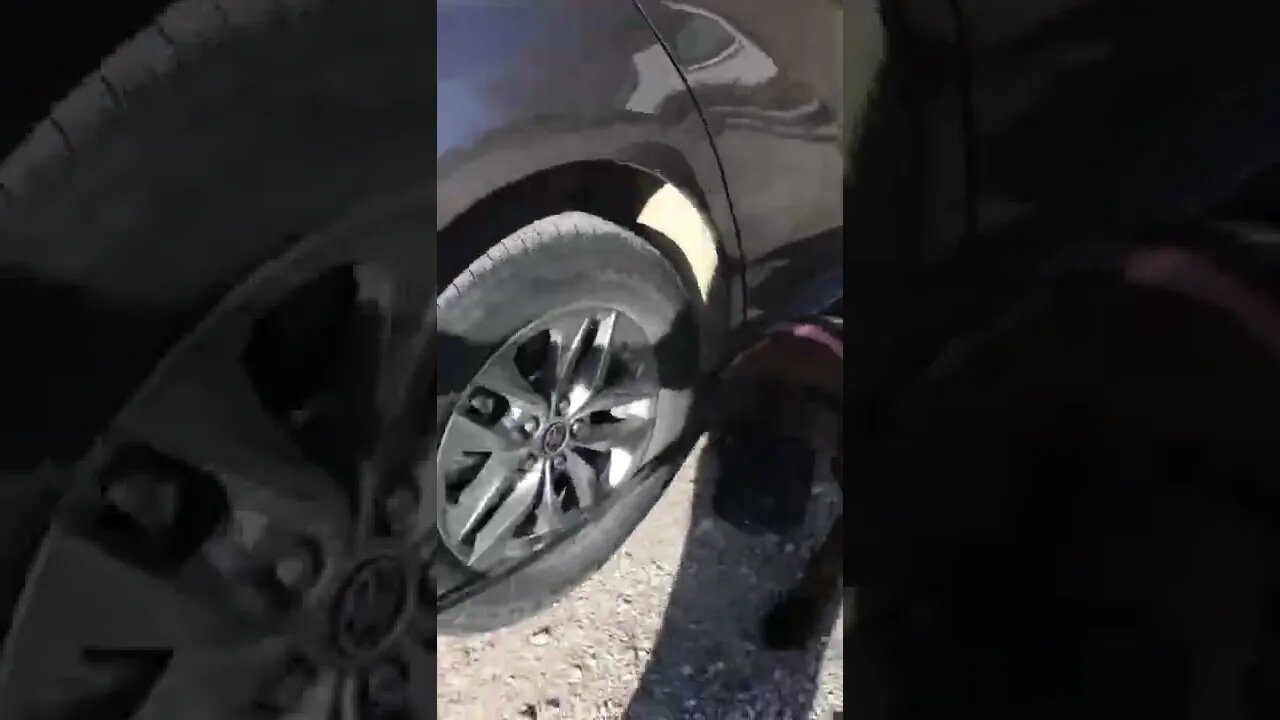 LonelyCreek Tuffy. Says not today folks