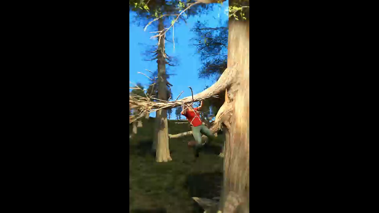 woman lives in a tree