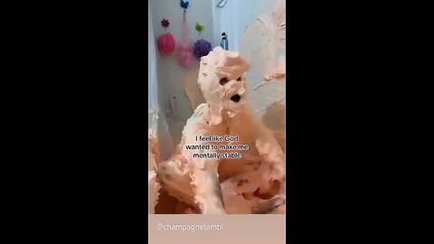 🤣