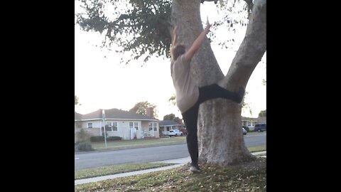 Palm Flip on a Tree!!!