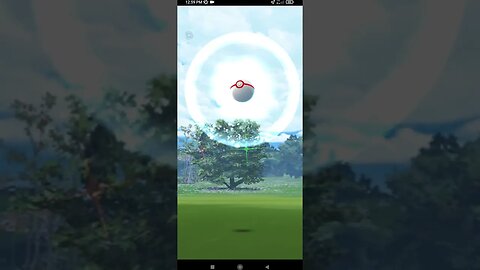 Pokémon GO-Shadow Zubat