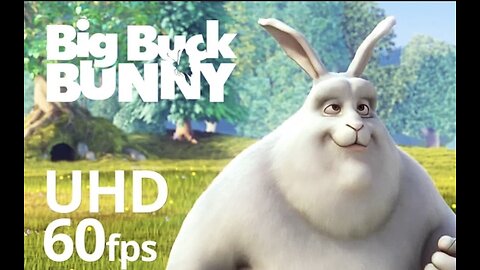 Big buck bunny 🐰