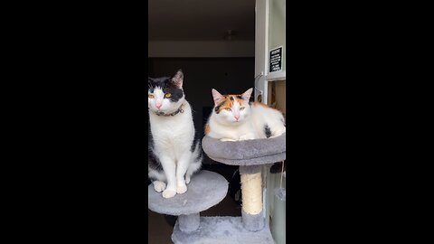 They are so funny 🤣🤣🤣
