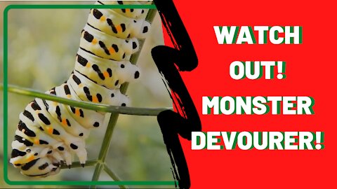 Watch out! Monster Devourer!