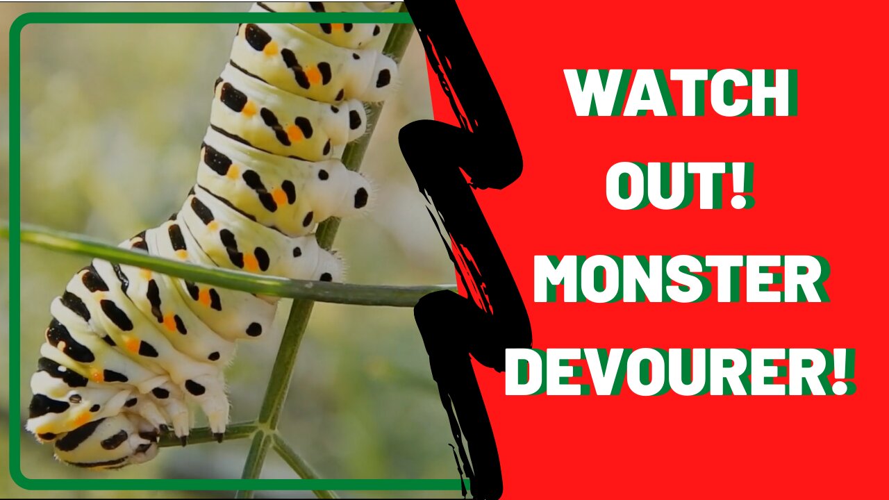 Watch out! Monster Devourer!