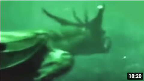 Deep Sea Camera Captures What No One Was Supposed to See#Camera#Dogs#cut#