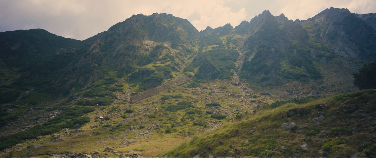 Welcome to Andrew Tate's Phase Two.