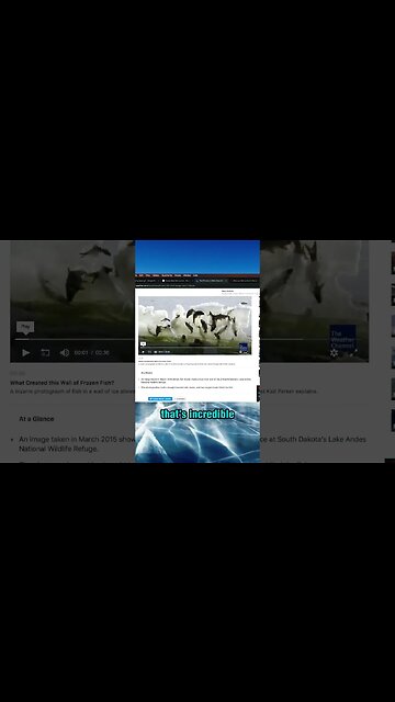 Frozen Fish Pushed Out in a Wall of Ice: A Strange Anomaly - Joe Rogan and Neil Degrasse Tyson