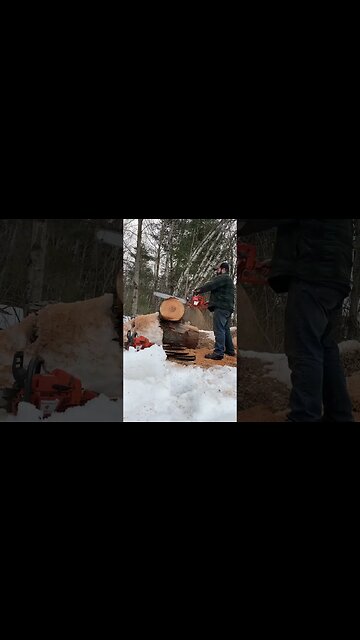 Husqvarna 371xp big bore ported muffler prt2