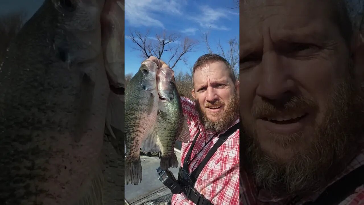 creek crappie in the winter
