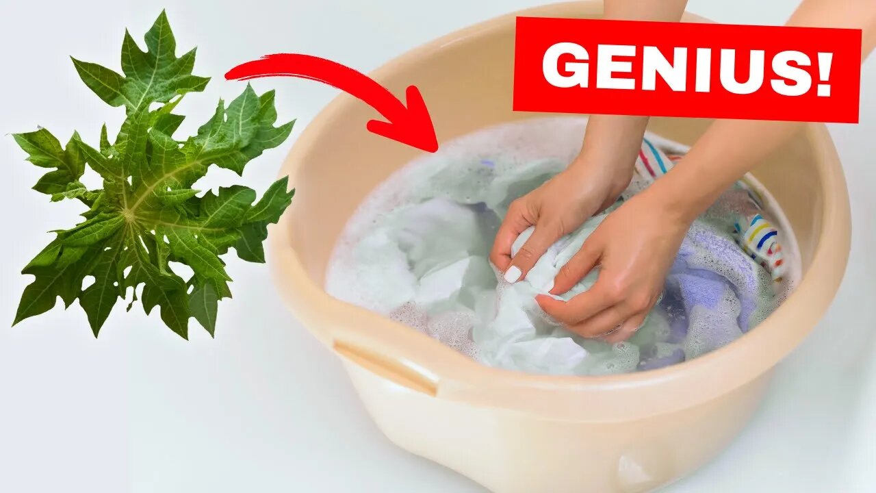 Put This Leaf On Your Clothes, And They'll Be Cleaner Than Ever!