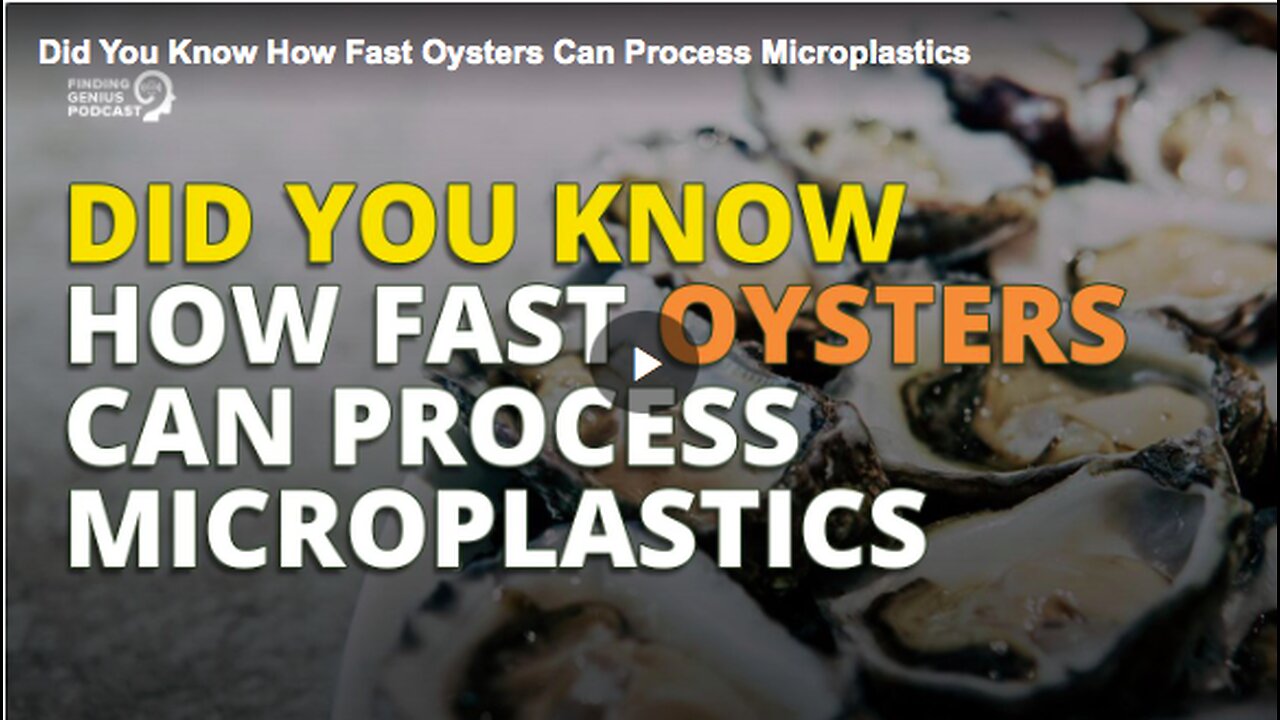 How fast oysters can process microplastics