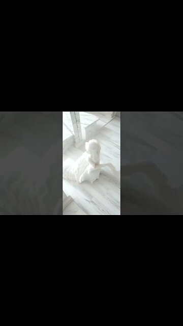 How many statues can YOU see in this cat fight?