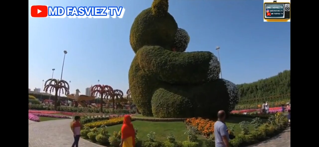 DUBAI MIRACLE GARDEN TO INTERNATIONAL CITY FLOWERS