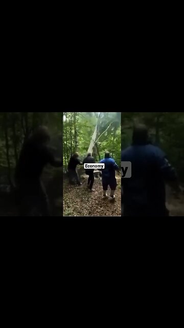 Lockdowns caused this! Don’t forget it.