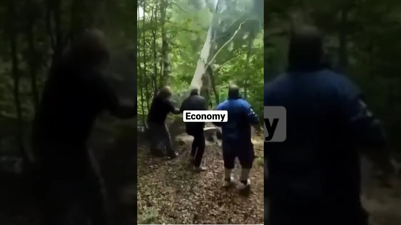 Lockdowns caused this! Don’t forget it.