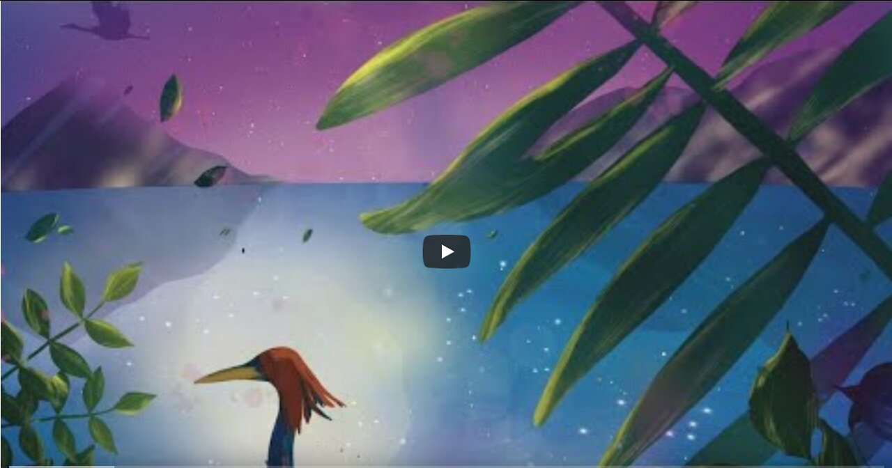 Mini Live Du 24 Juin