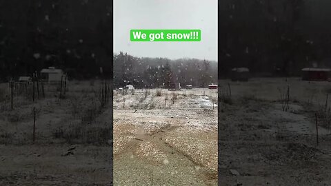 We only get snow a couple of times a year and today is the day! 😍 #snowday #homesteadwinter #shorts