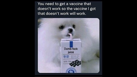 PRO VAXX hate us “Nazis”