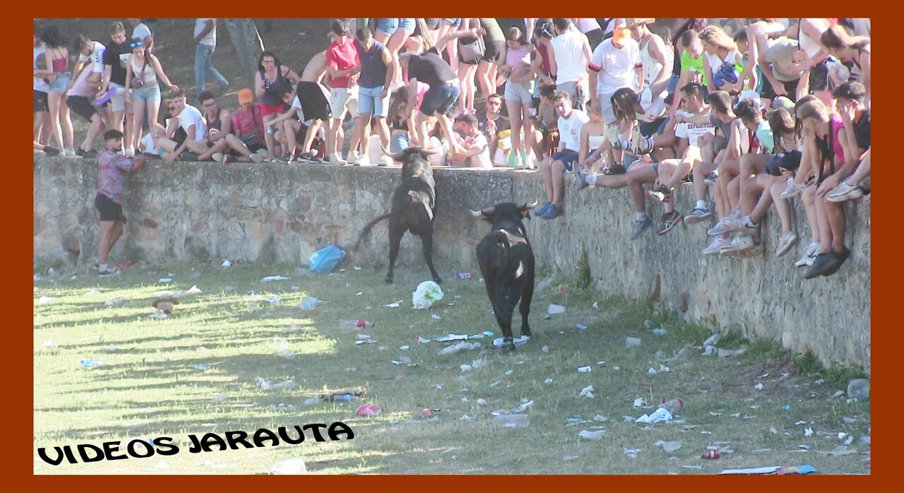 SORIA ( LACOMPRA ) TARDE ( DOMINGO 19 JUNIO 2022 ) ALICIA GARCÍA MERCHANTE