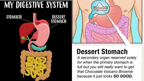 Did You Know? Dessert Stomach || FACTS || TRIVIA