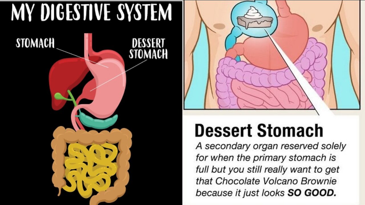 Did You Know? Dessert Stomach || FACTS || TRIVIA