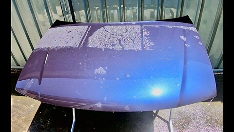 Wax vs Sealant vs Coating Update Video