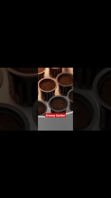 Zukunfts Technologie im Urban Gardening