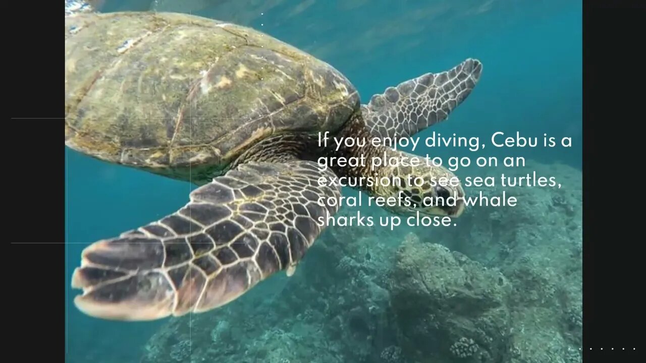 The Philippines' Top 15 Destinations
