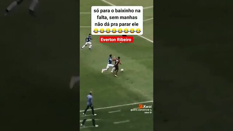 Everton Ribeiro