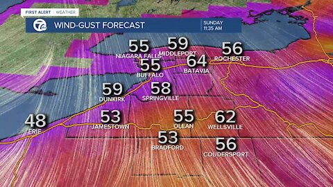 7 First Alert Forecast 1113 11pm