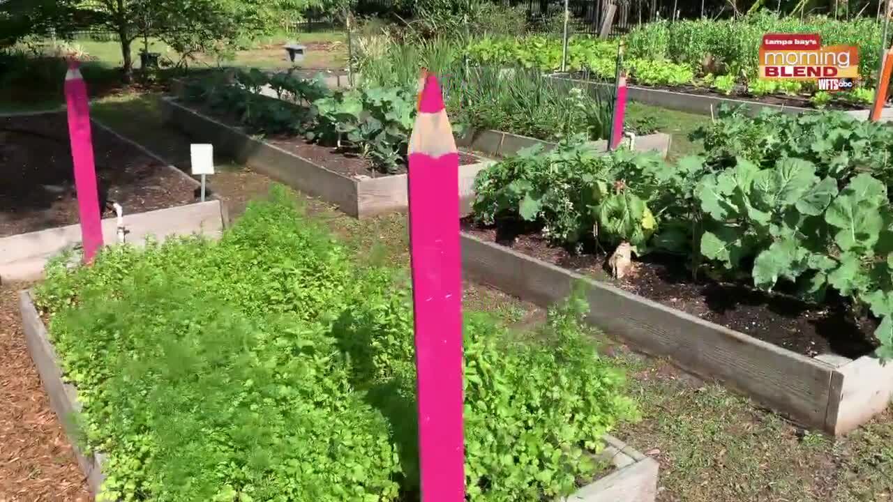 Cooking at Harvest Hope Park | Morning Blend