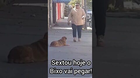 Sextou pai