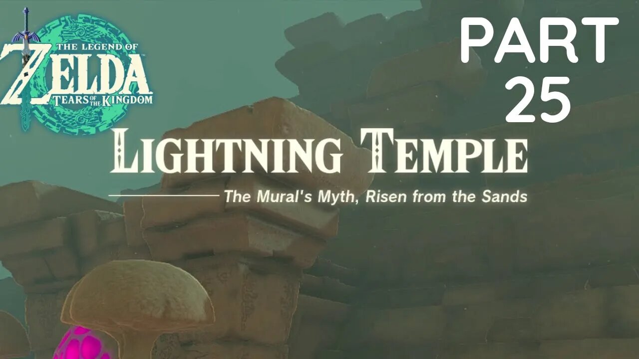 Zelda tears of the kingdom - the lightning temple
