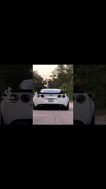 Now Thats a Real VETT!!!!