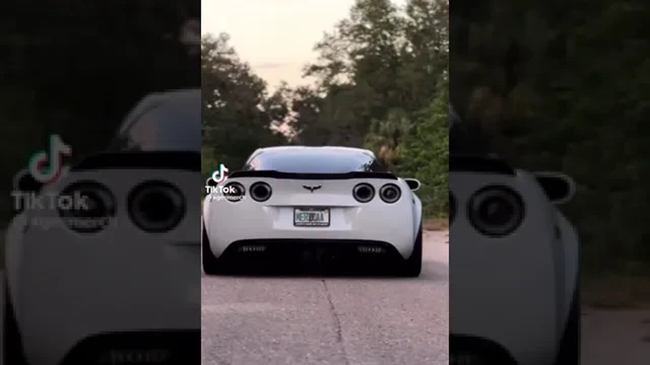 Now Thats a Real VETT!!!!