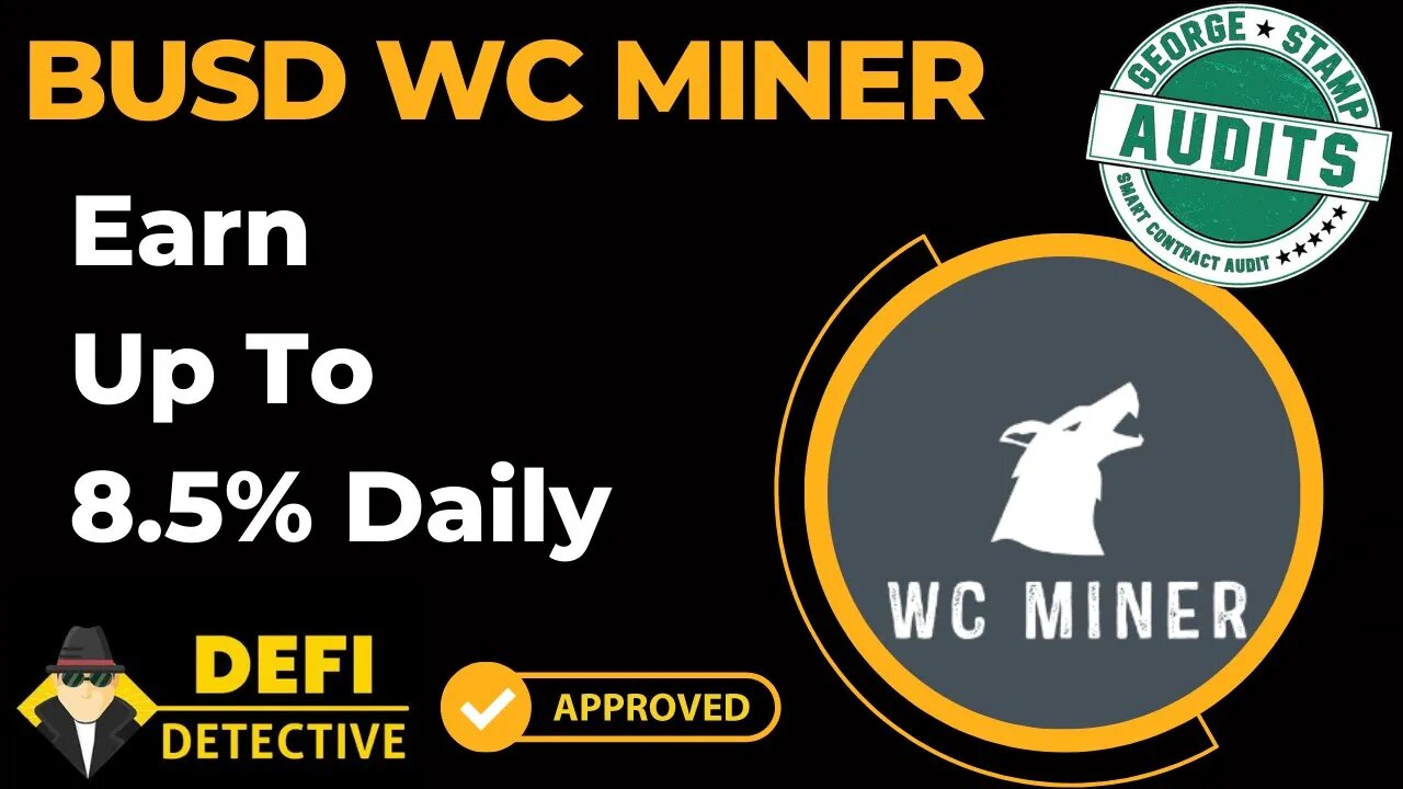 BUSD WC Miner Review | Earn Up To 8.5% BUSD Daily | Defi Detective Supported