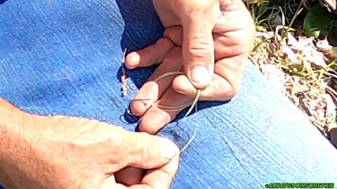 Tying a Palomar Knot "loop swoop and pull"