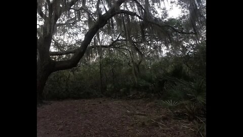 FL Springs trip Ep4: Spanish pond trail