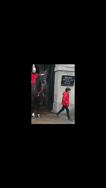 thinks he is cool #thekingsguard