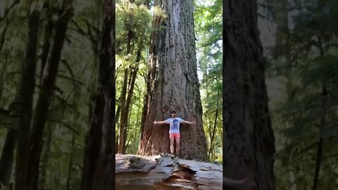 Big #wood #adventure #running #fitness #strong #workout #bc #vancouverisland