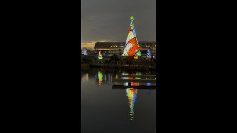 Christmas magic at Seaworld